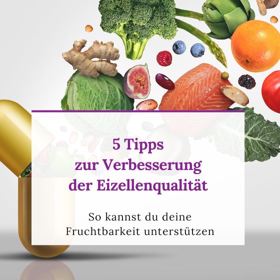 5 Tipps zur Verbesserung der Eizellenqualität. So kannst du deine Fruchtbarkeit unterstützen.