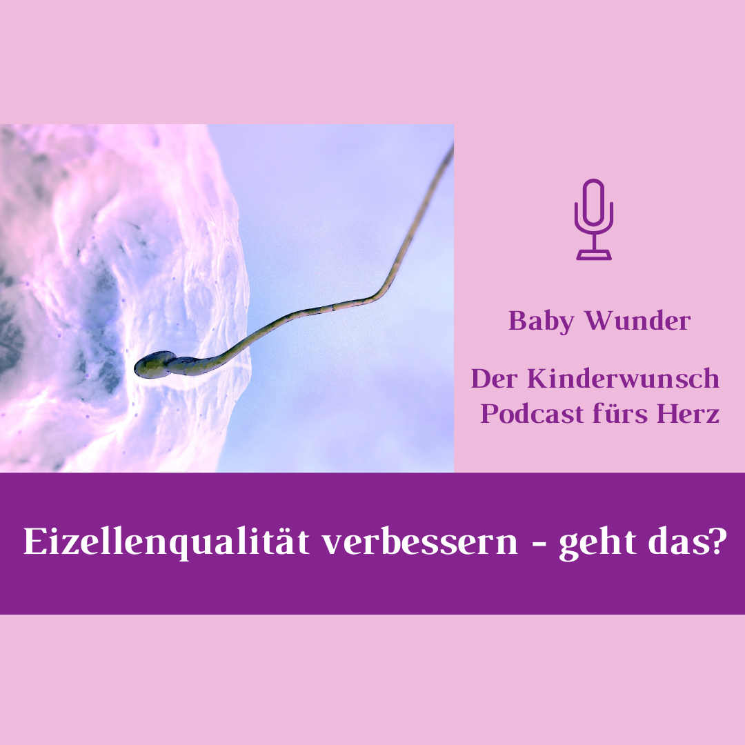 Kinderwunsch Podcast