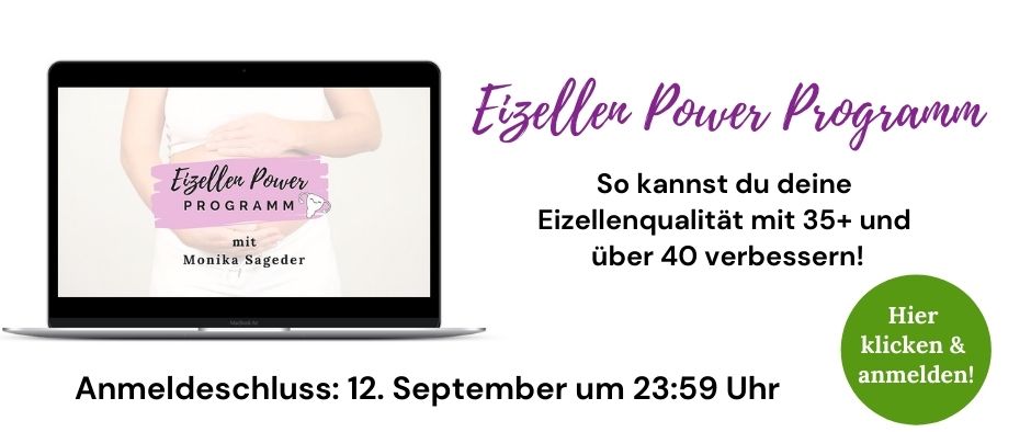 Eizellen Power Programm_Website Insta Links