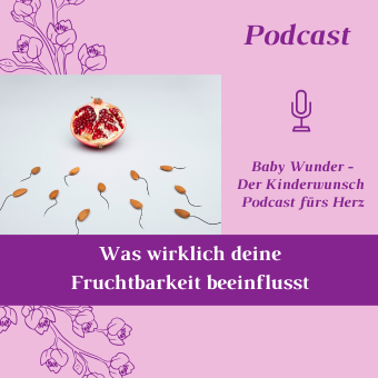 Podcast Folge 62_Was wirklich deine Fruchtbarkeit beeinflusst