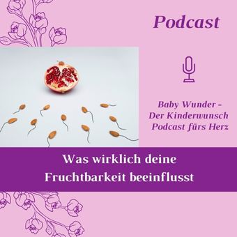 Was beeinflusst die Fruchtbarkeit wirklich - Folge 62 - Baby Wunder - Der Kinderwunsch Podcast fürs Herz mit Monika Sageder