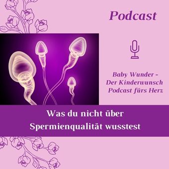 Was du nicht über Spermienqualität wusstest. Folge 65. Baby Wunder - Der Kinderwunsch Podcast fürs Herz mit Monika Sageder