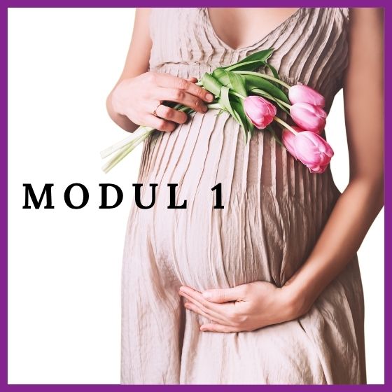 Babyseele einladen Modul 1