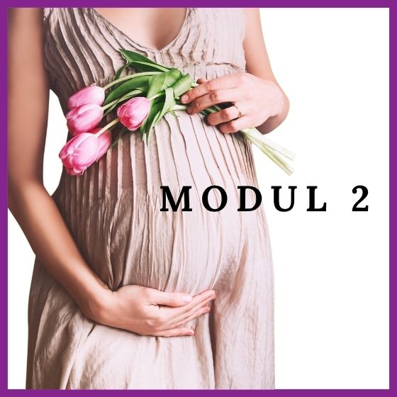 Babyseele einladen - Modul 2
