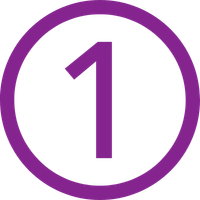 Icon 1
