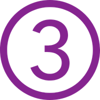 Icon 3